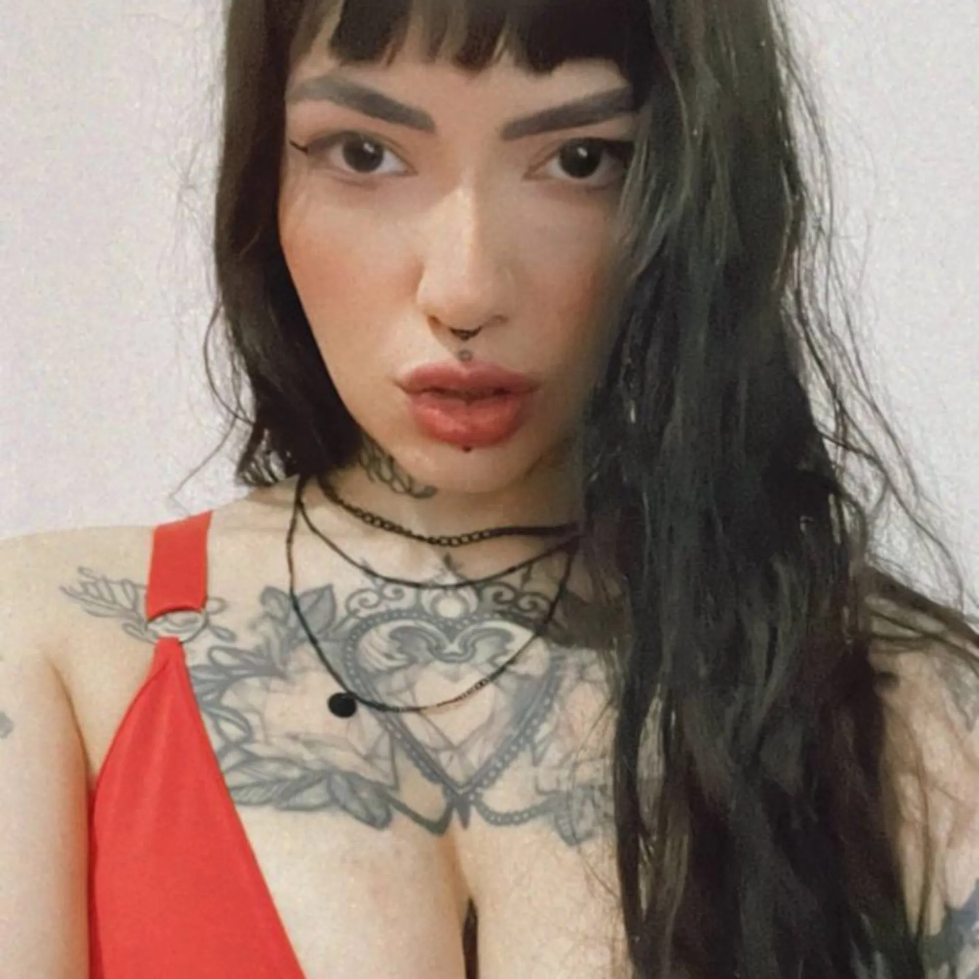 🩷𝓑𝓾𝓷𝓷𝔂 𝓥𝓮𝔁🩵