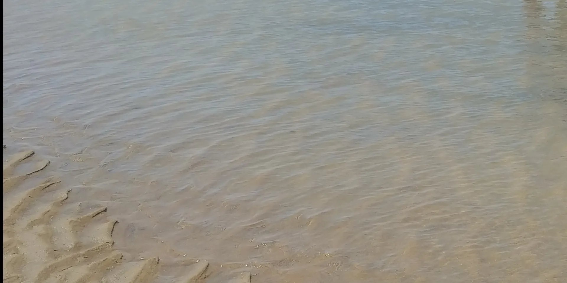 Bunny Zyx OnlyFans header