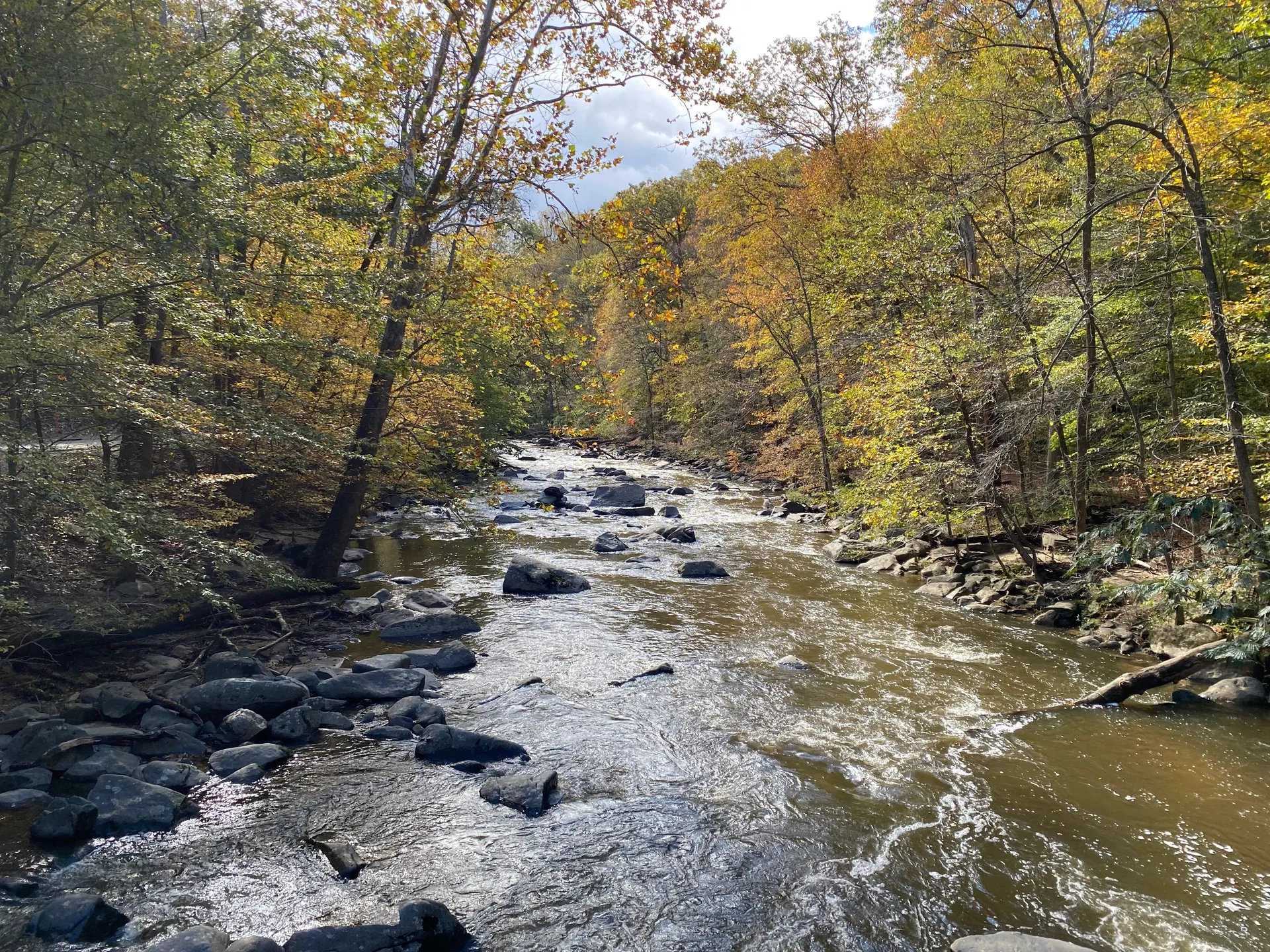 Buns Out OnlyFans header