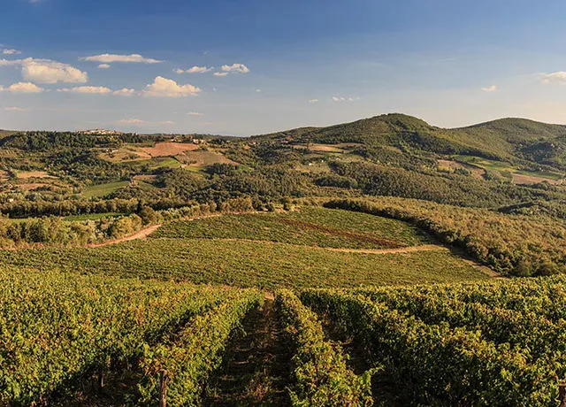 Andrea Gori OnlyFans header