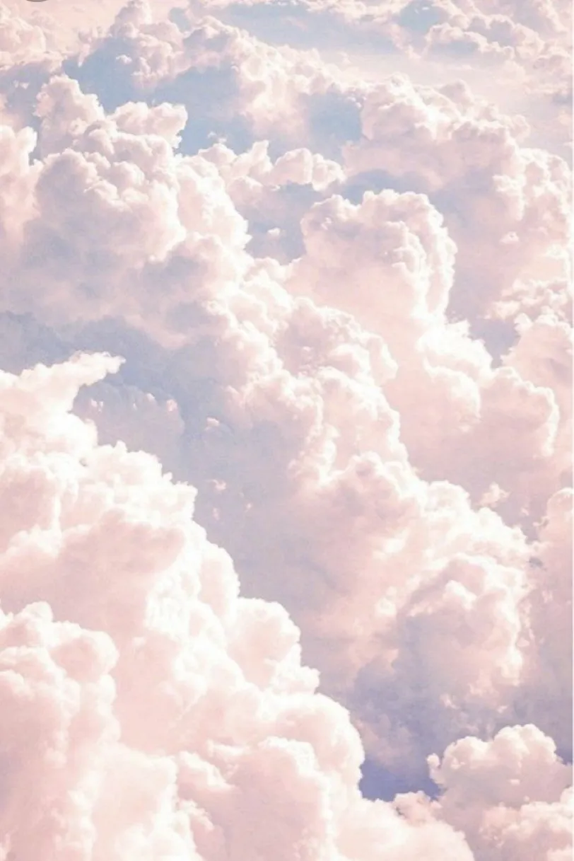 Bushbabyp OnlyFans header