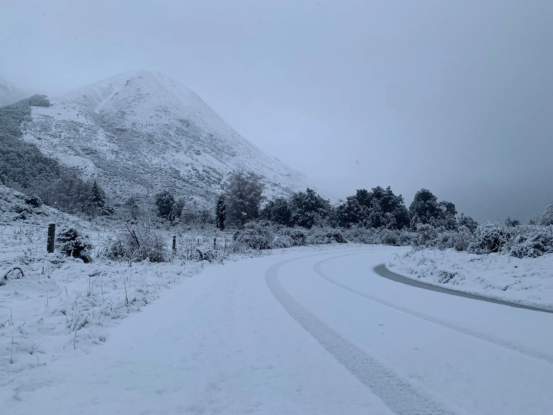 Effie with that Bush B*tch OnlyFans header