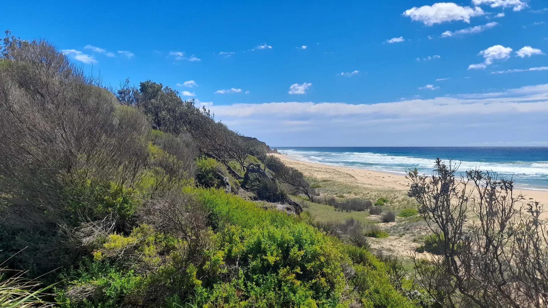 bushnbeach OnlyFans header