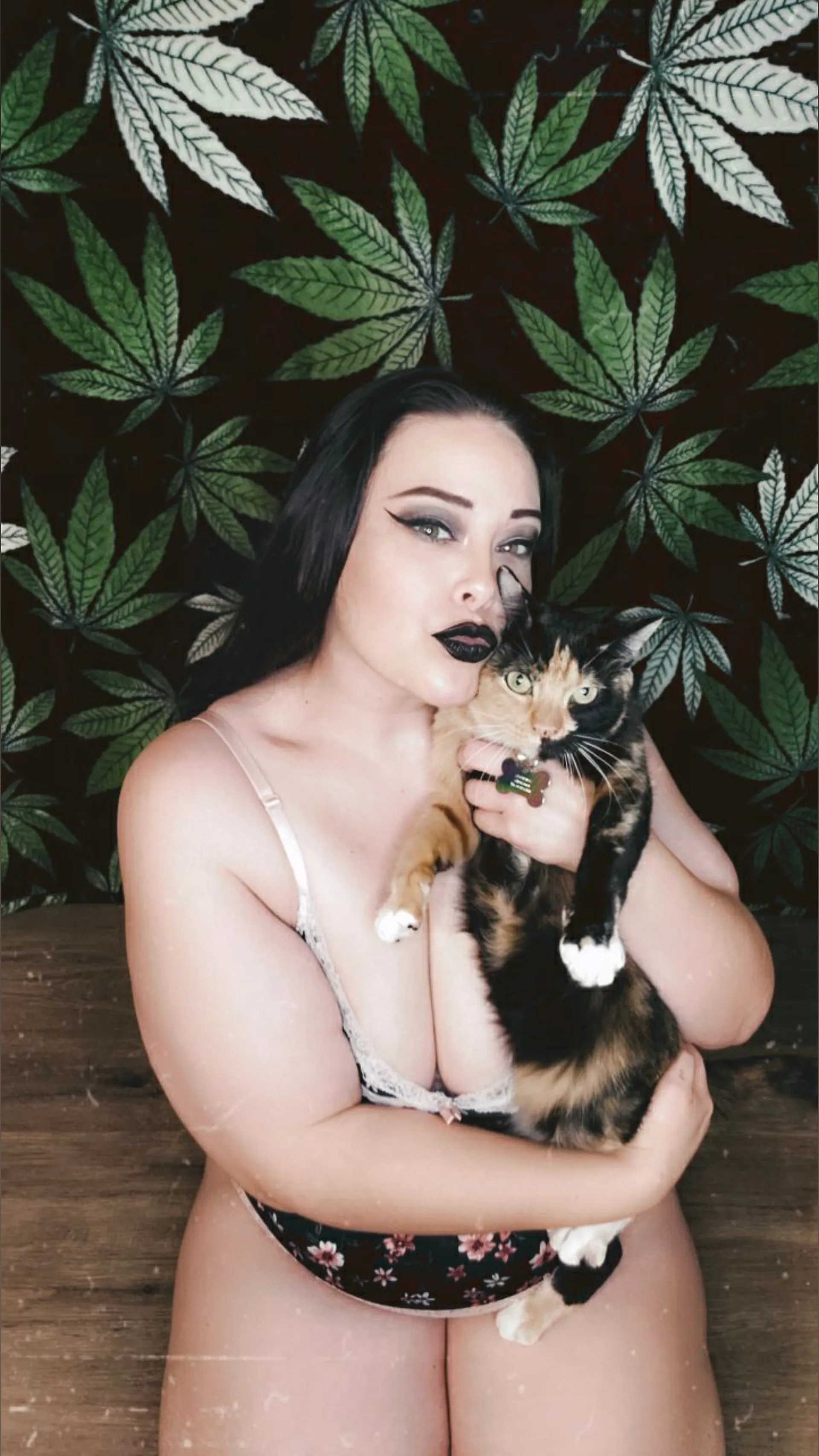 Nikki Flora OnlyFans header