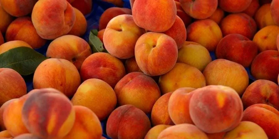 Katiana OnlyFans header