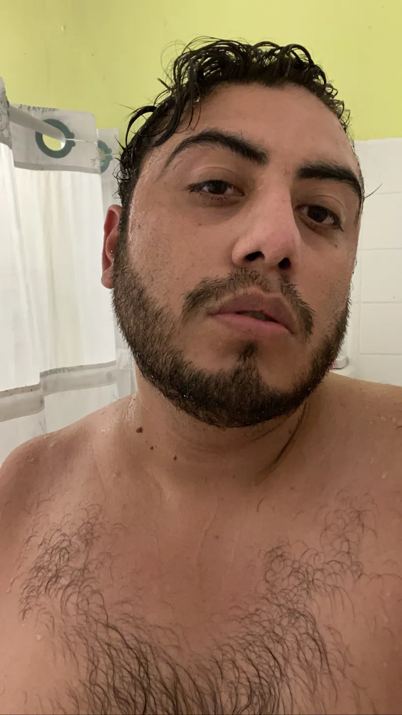 Bussy Bear OnlyFans header