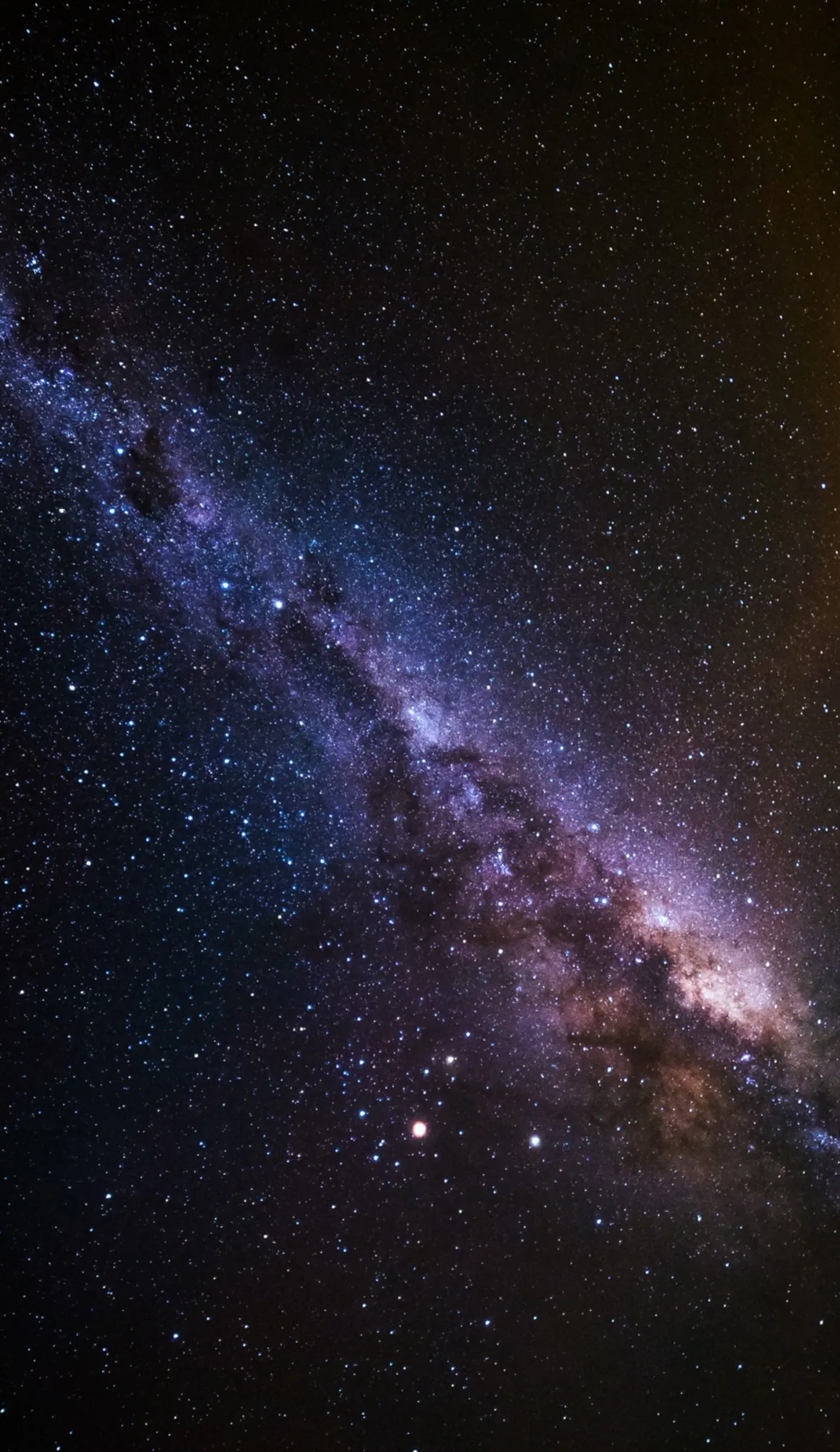 Bianca OnlyFans header