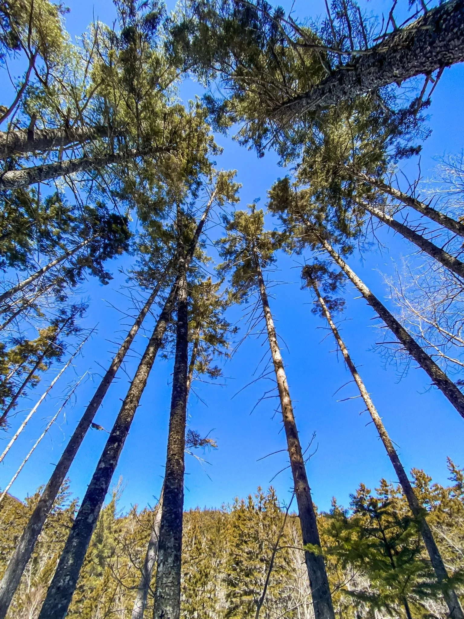 Katie Lee OnlyFans header