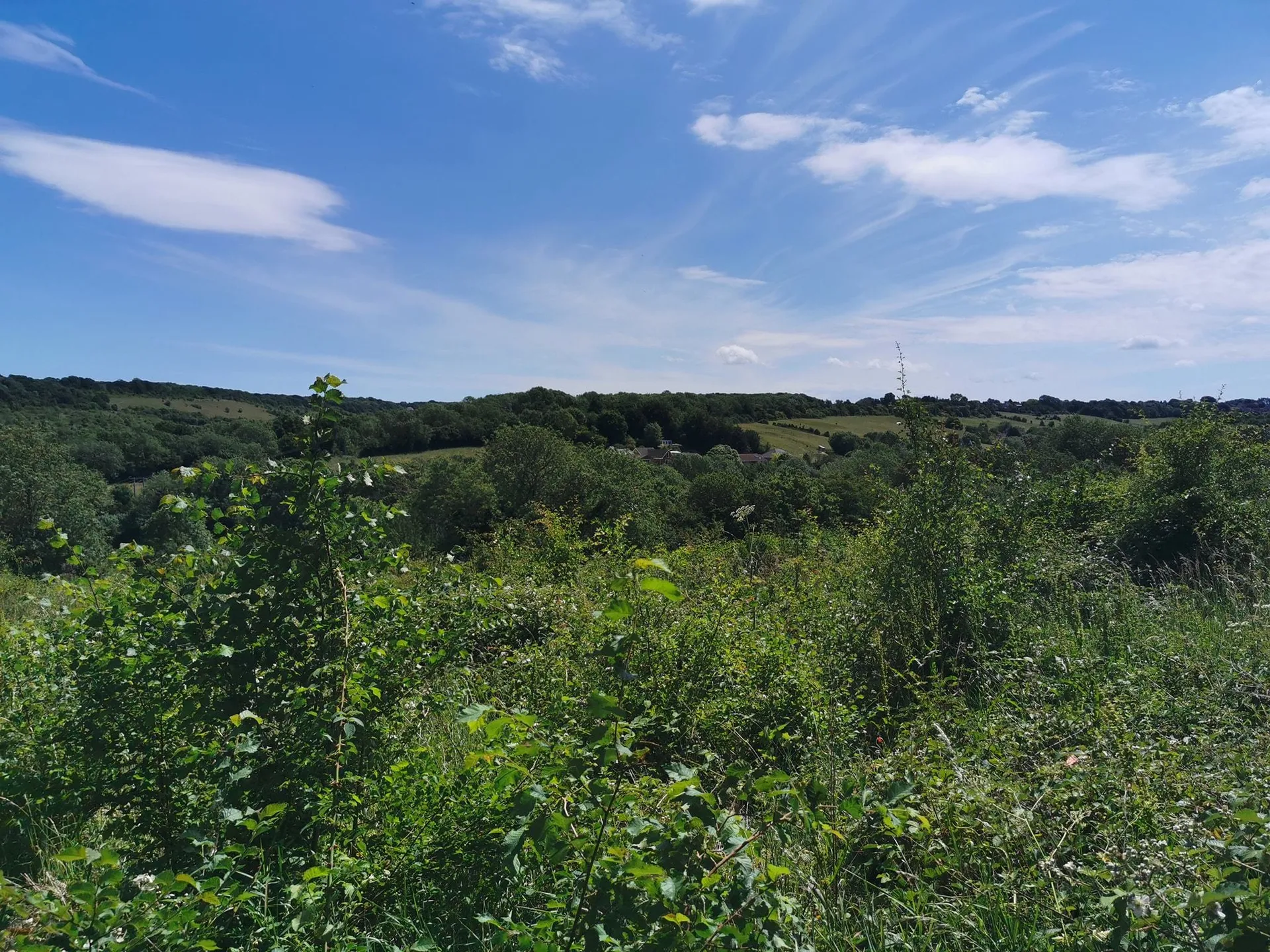 BustyBats OnlyFans header