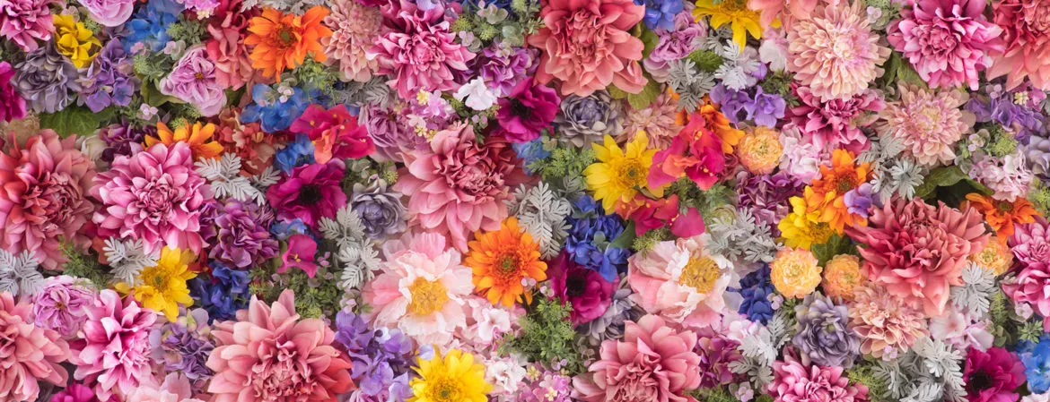 Marcy OnlyFans header