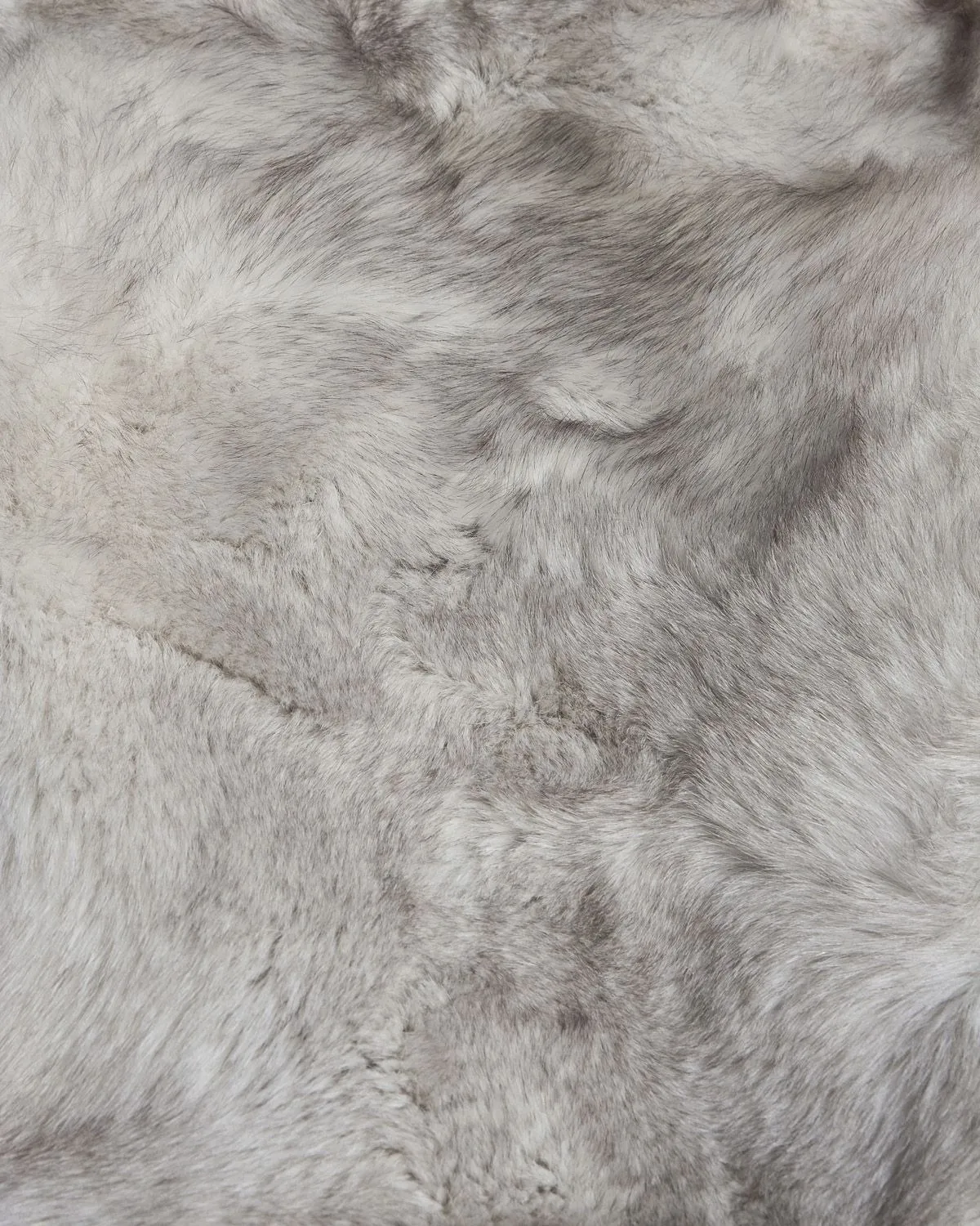 Nicole OnlyFans header