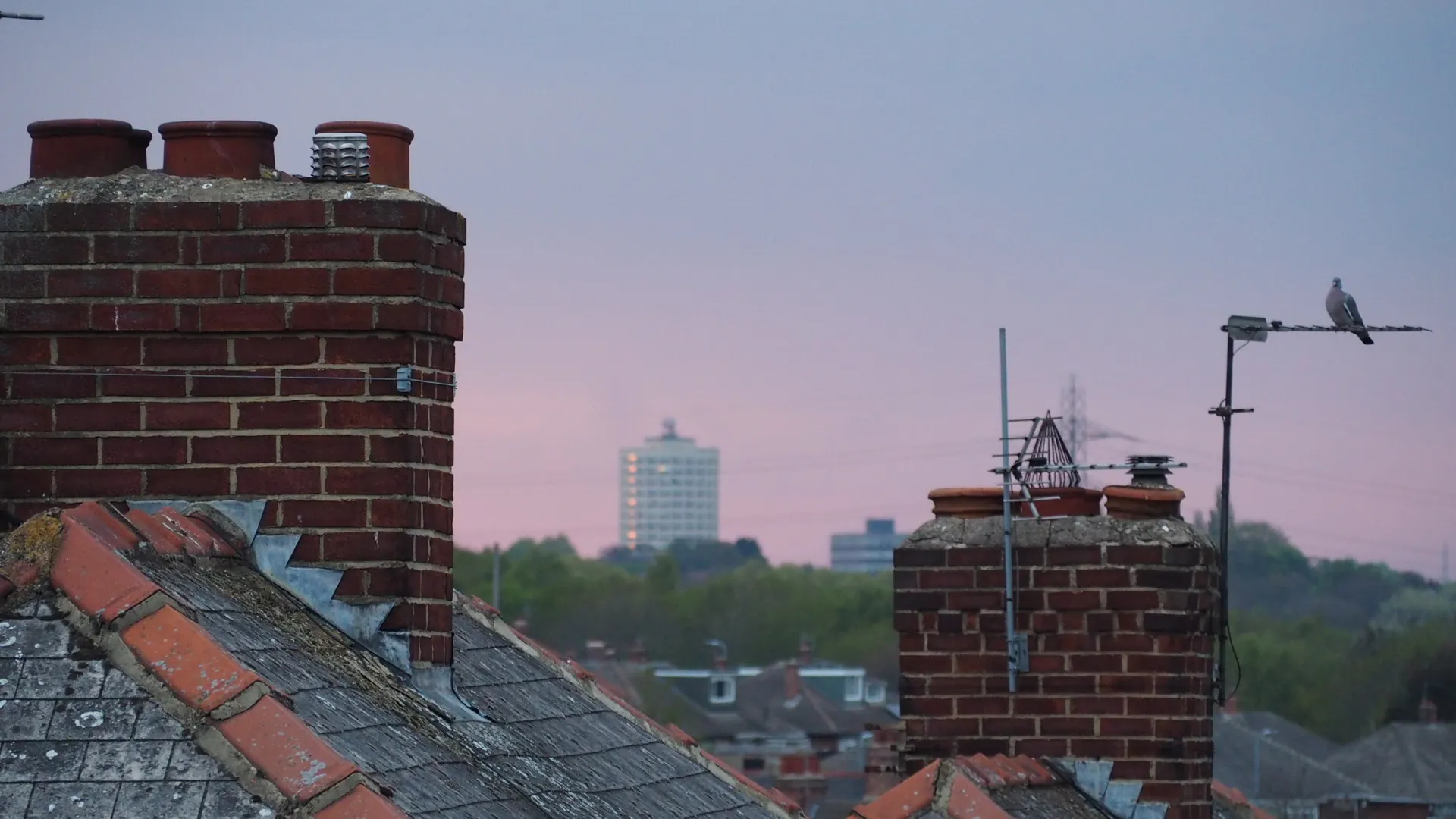 Busy_Thom OnlyFans header