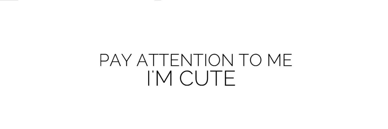 Busybunnies OnlyFans header