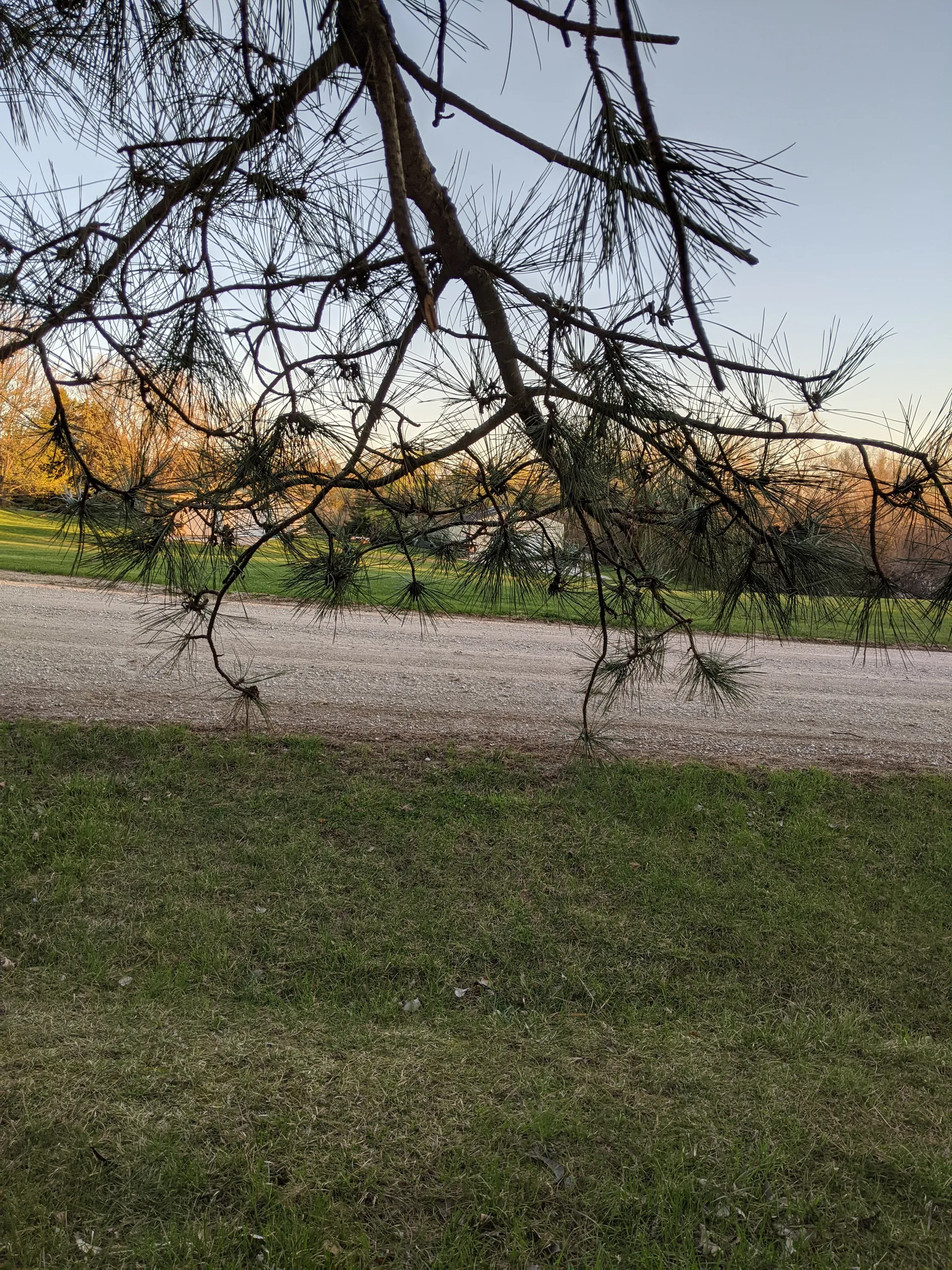 Busymomtoo2013 OnlyFans header