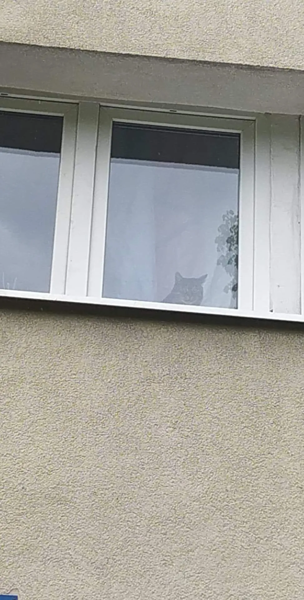 Johny OnlyFans header