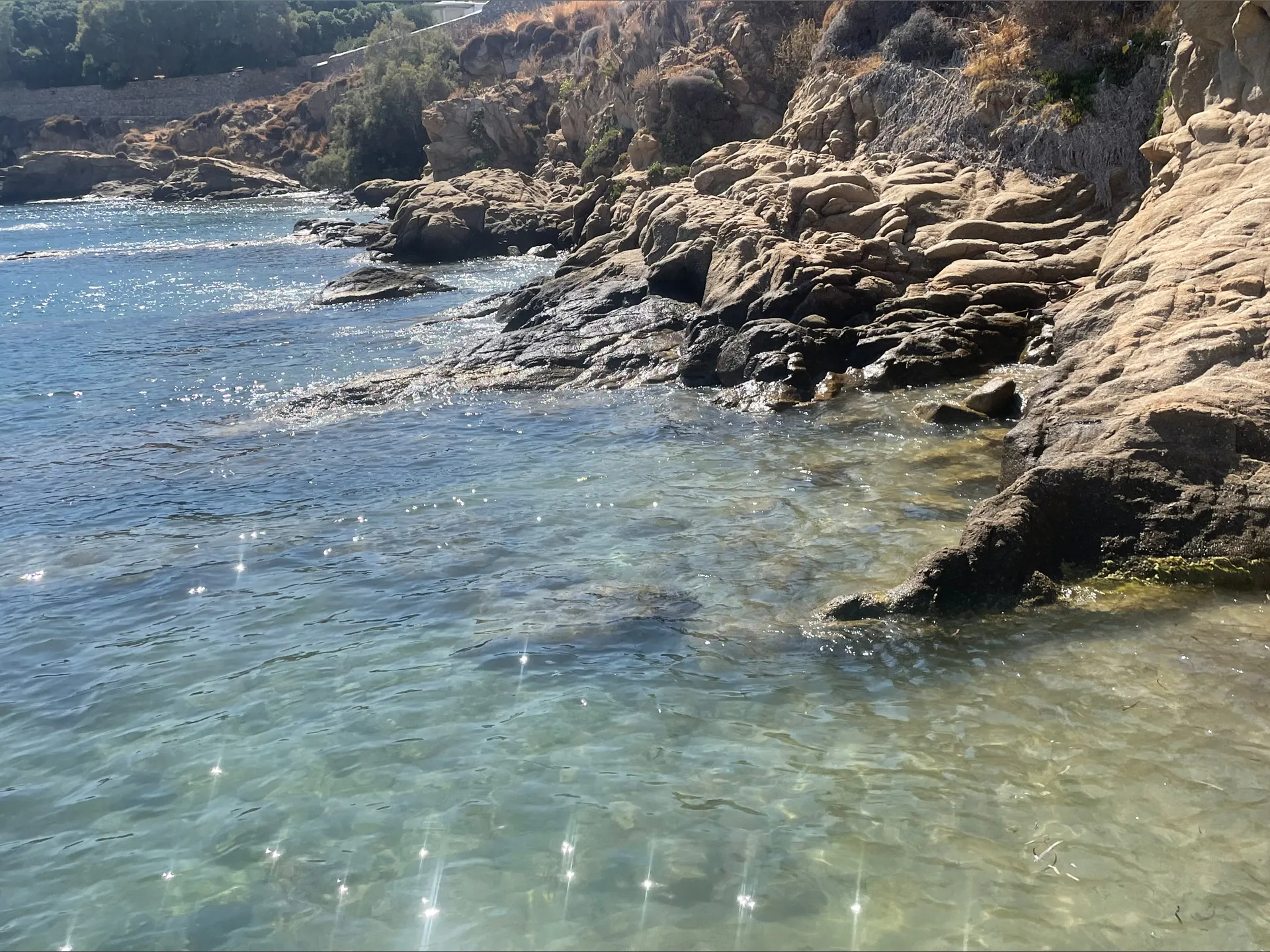 💌 OnlyFans header