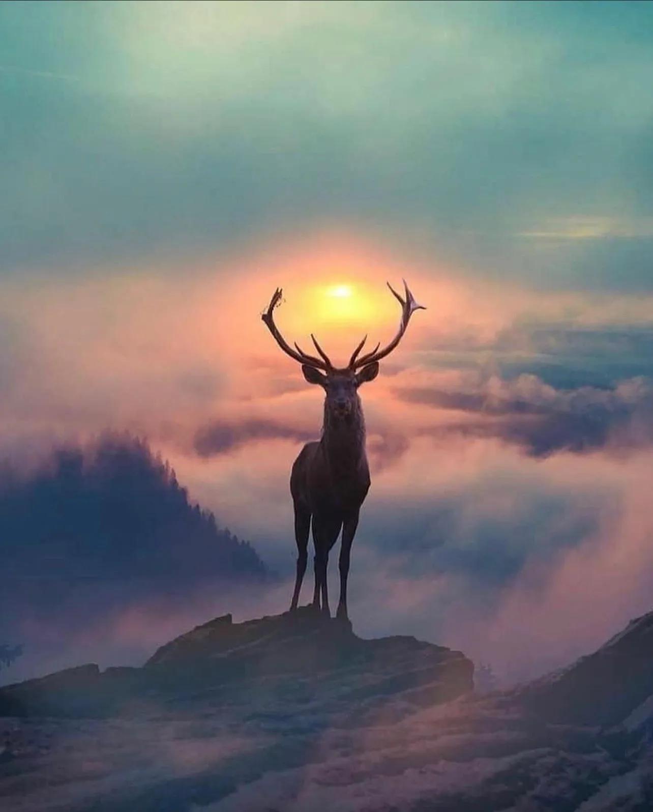 buttercup24 OnlyFans header