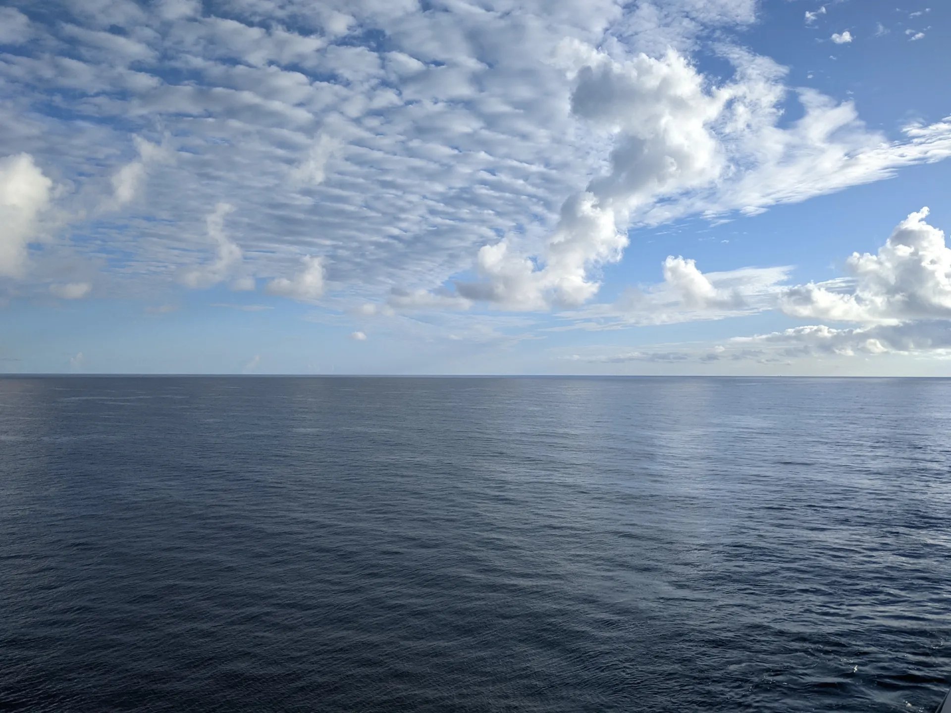 Buttercup OnlyFans header