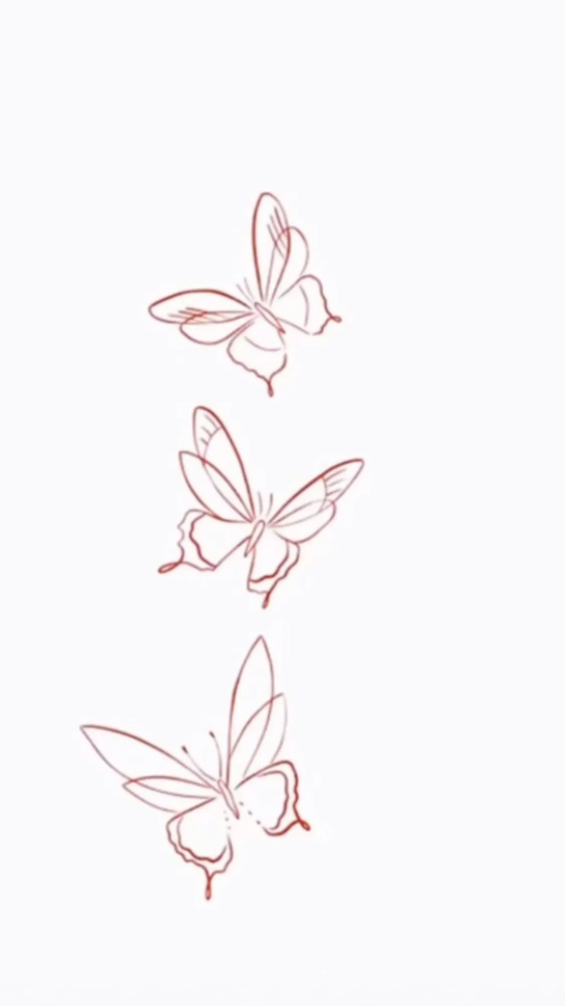 🦋 OnlyFans header