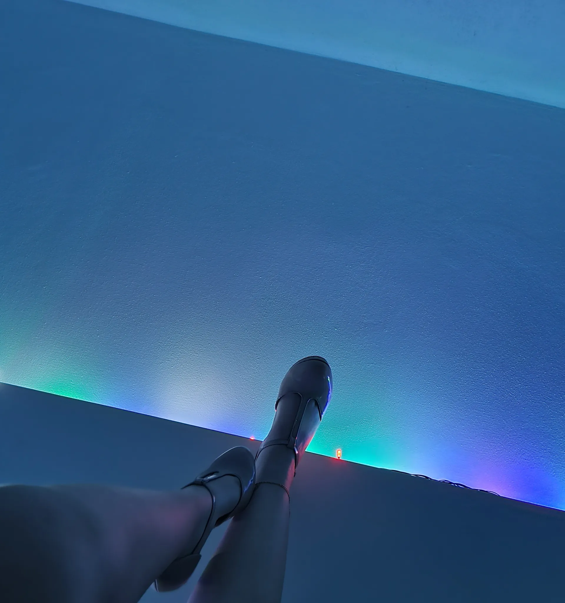 Butterfly OnlyFans header