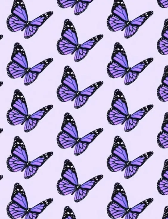 Mariposa OnlyFans header