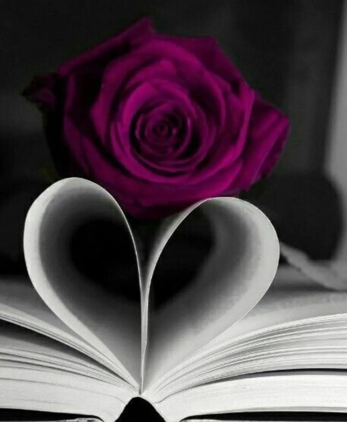 Josephine OnlyFans header