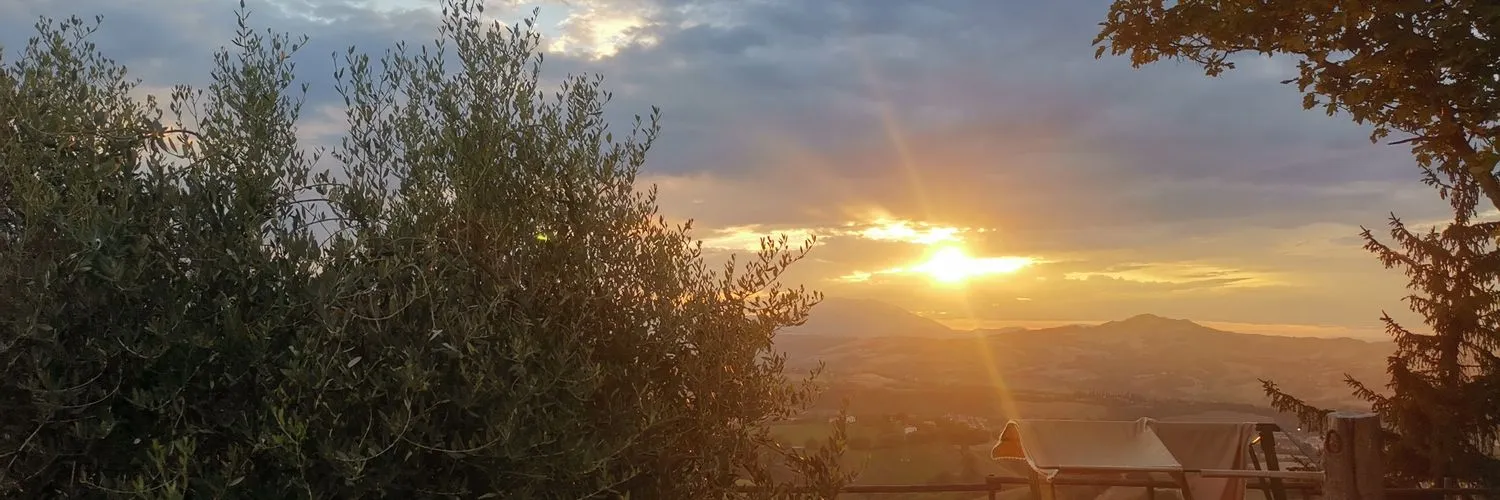 😎 OnlyFans header