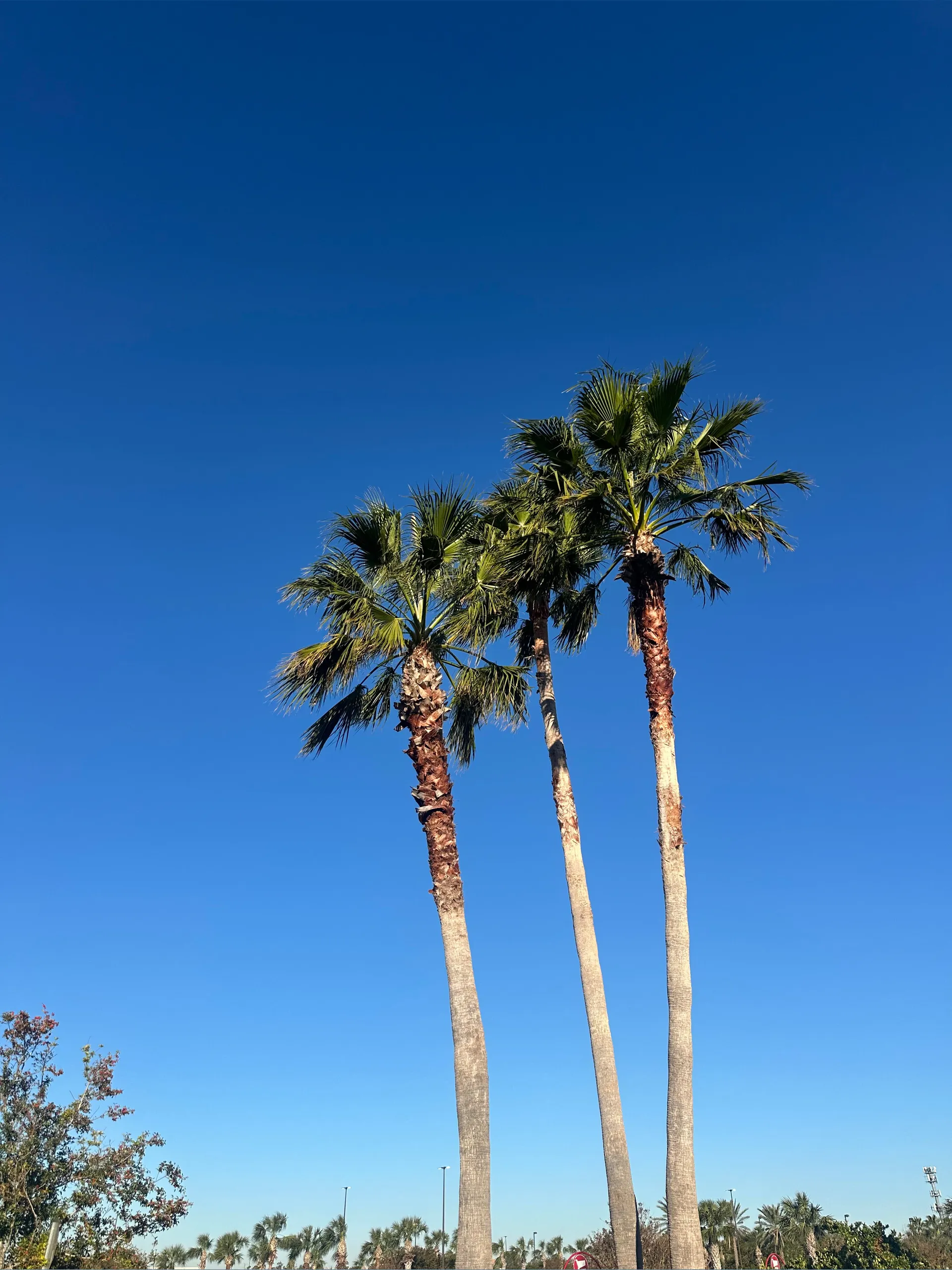 bailey🧚🏻 OnlyFans header