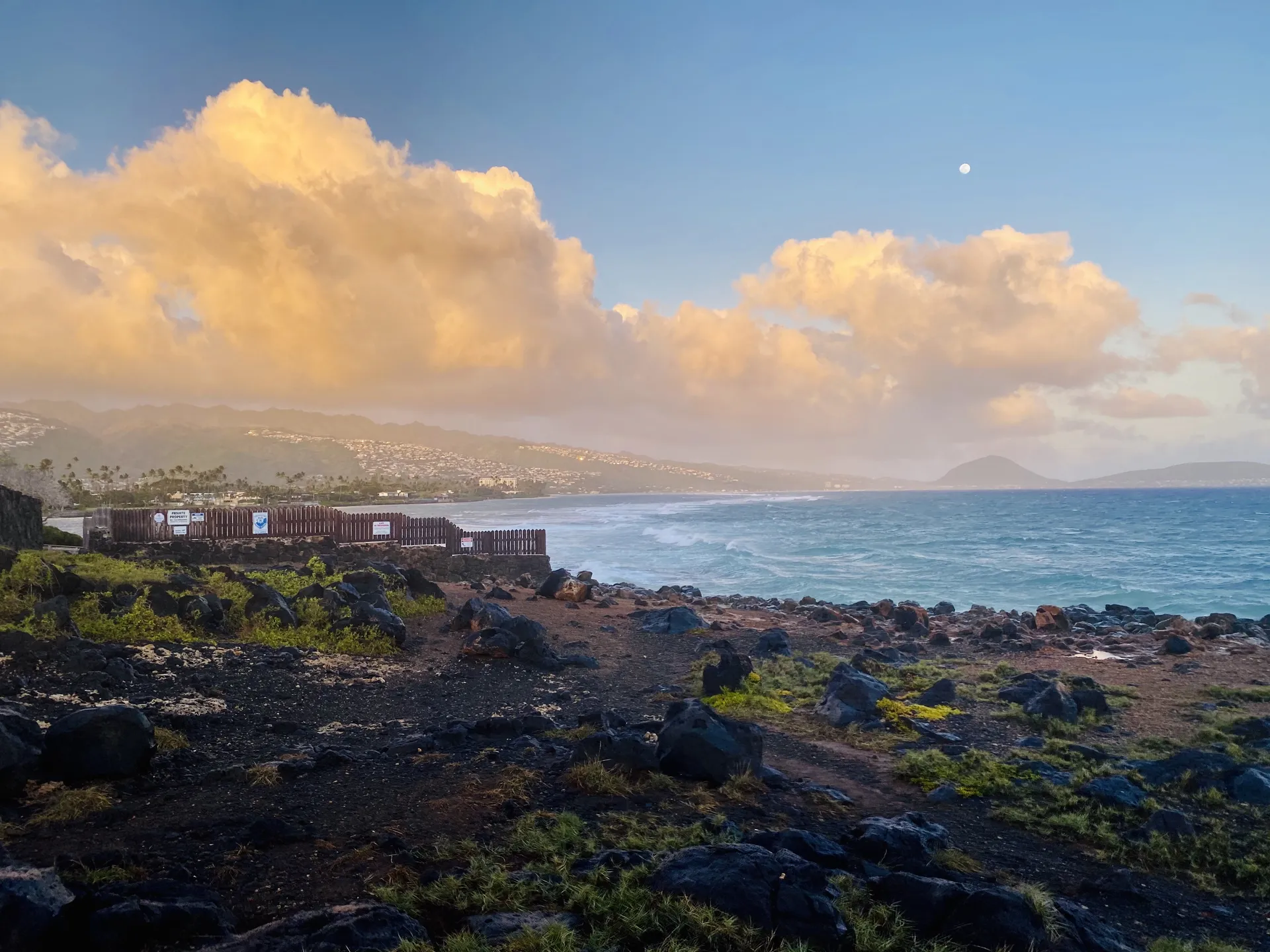 🦋 OnlyFans header