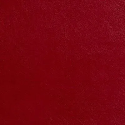 HayLittleFeet OnlyFans header