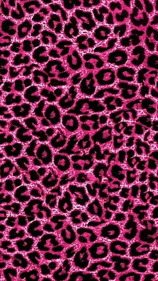 🩷 OnlyFans header