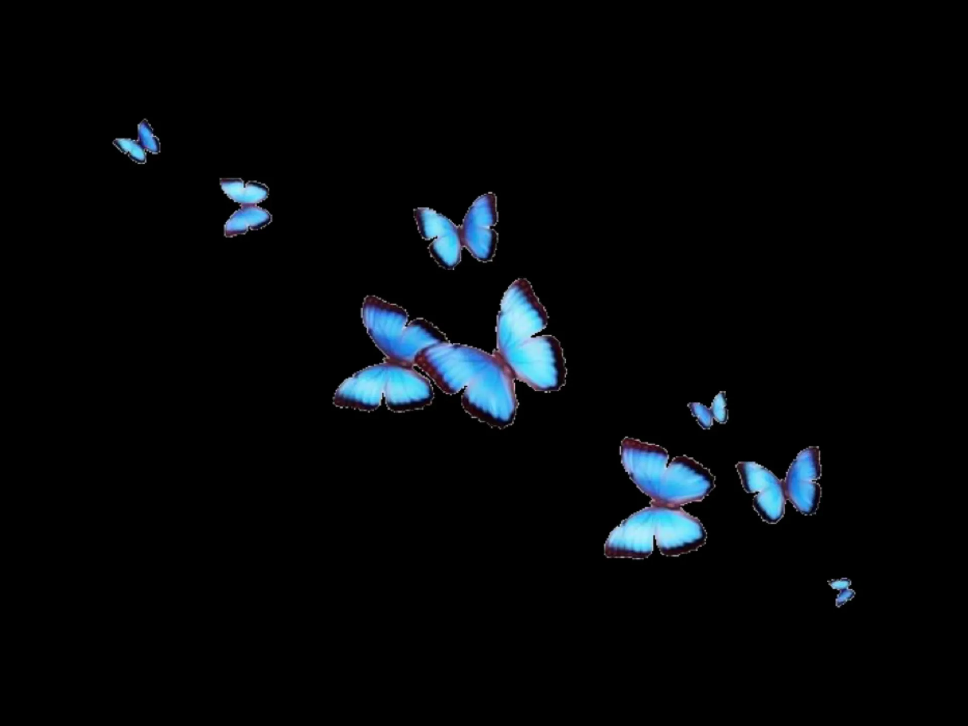 ❤️VANESSA❤️ OnlyFans header