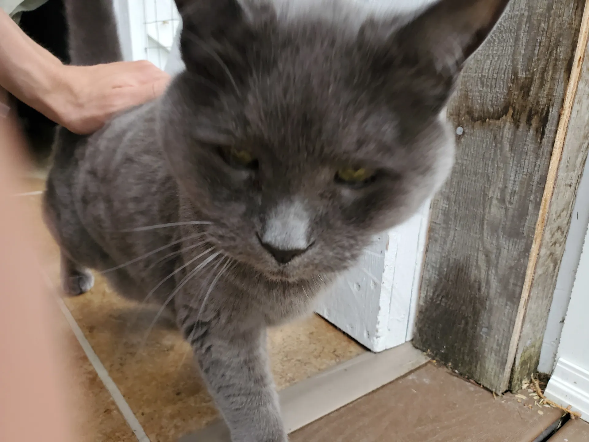 Butterkuppit OnlyFans header