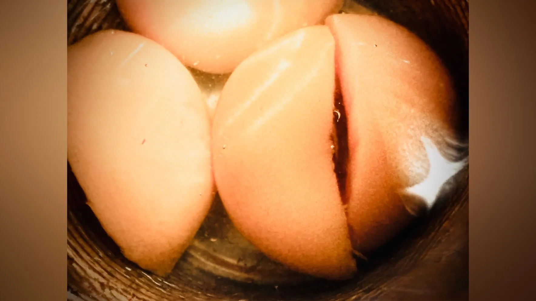 ButtRocket Buddy OnlyFans header