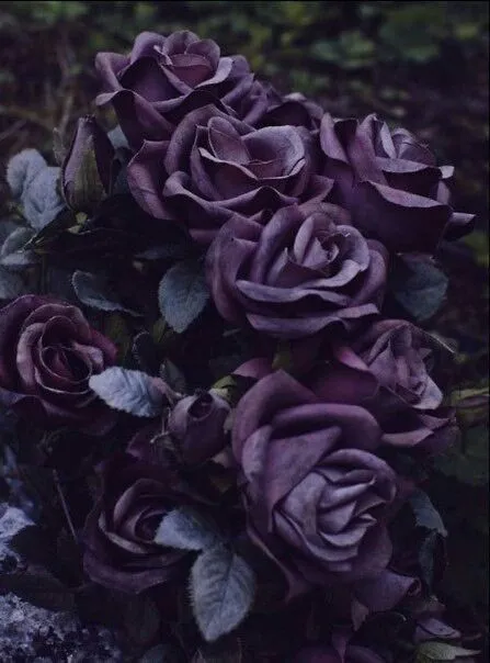 Bat-chan 🦇 OnlyFans header