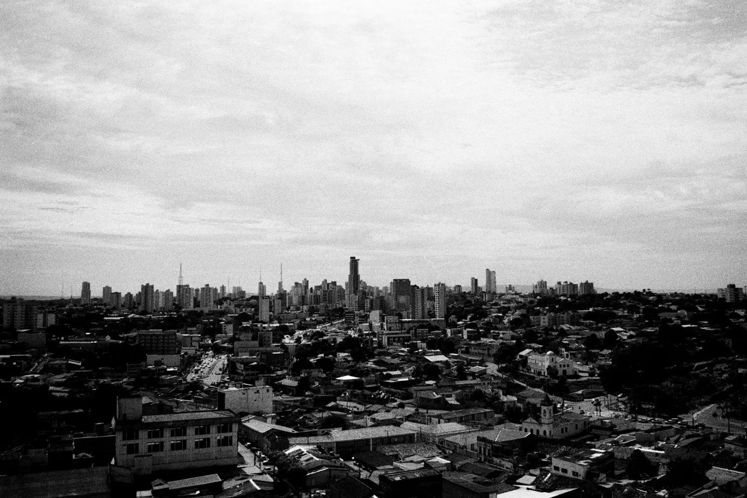 Buzzed OnlyFans header