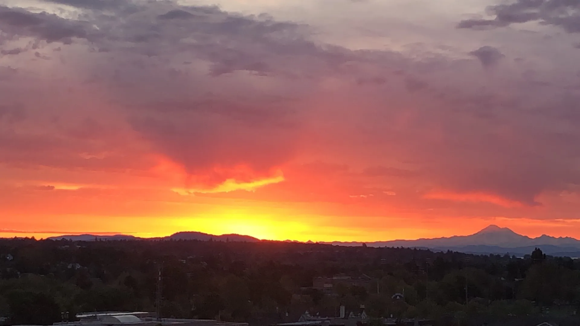 ⚡️bvbyg1rl⚡️ (free/PPV) OnlyFans header