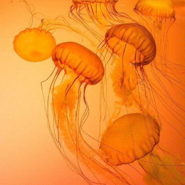 caio :D OnlyFans header