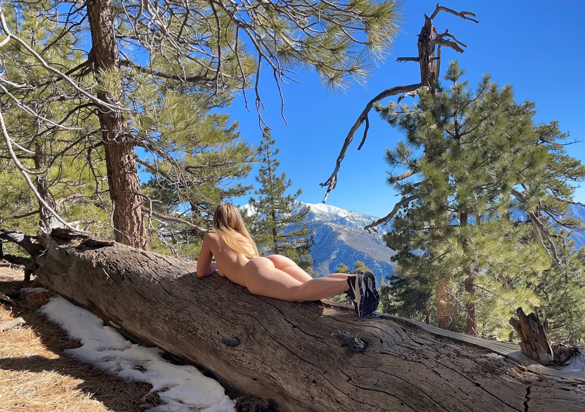 Cami the Boner Fairy 🧚‍♀️ OnlyFans header