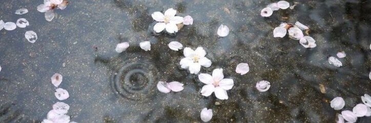 caro OnlyFans header