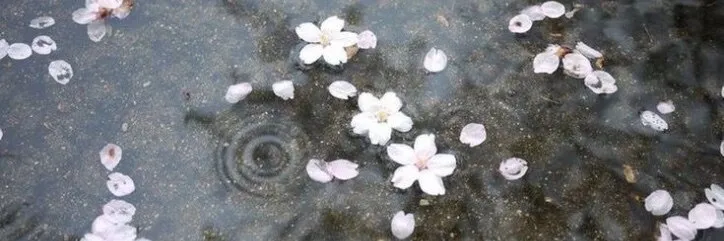 caro OnlyFans header