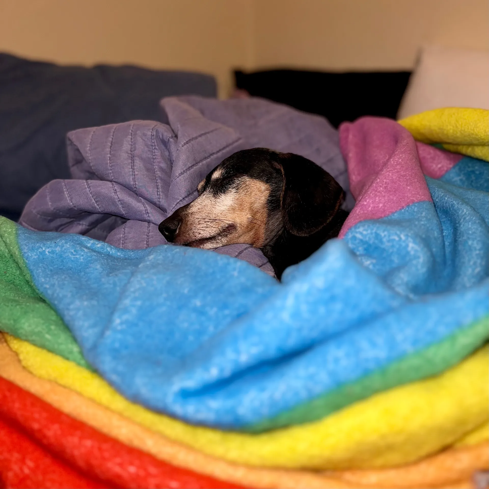 CA3X OnlyFans header