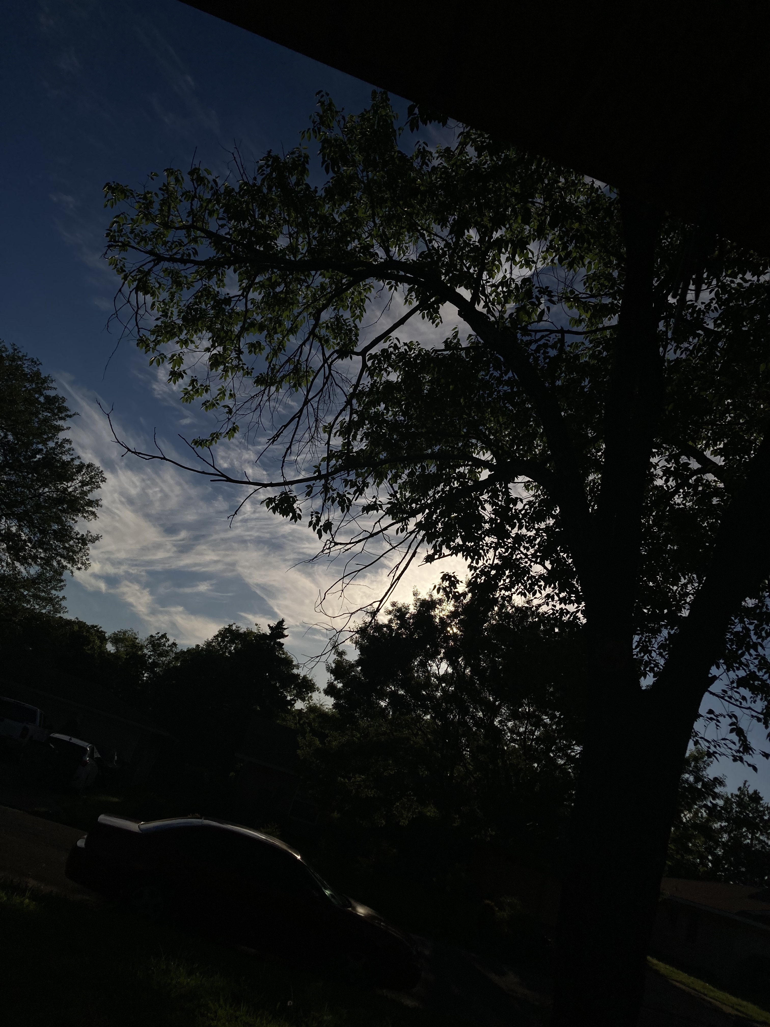 Chastitey Doup OnlyFans header