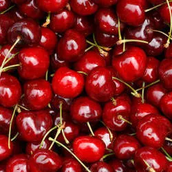 Sweet cherries OnlyFans