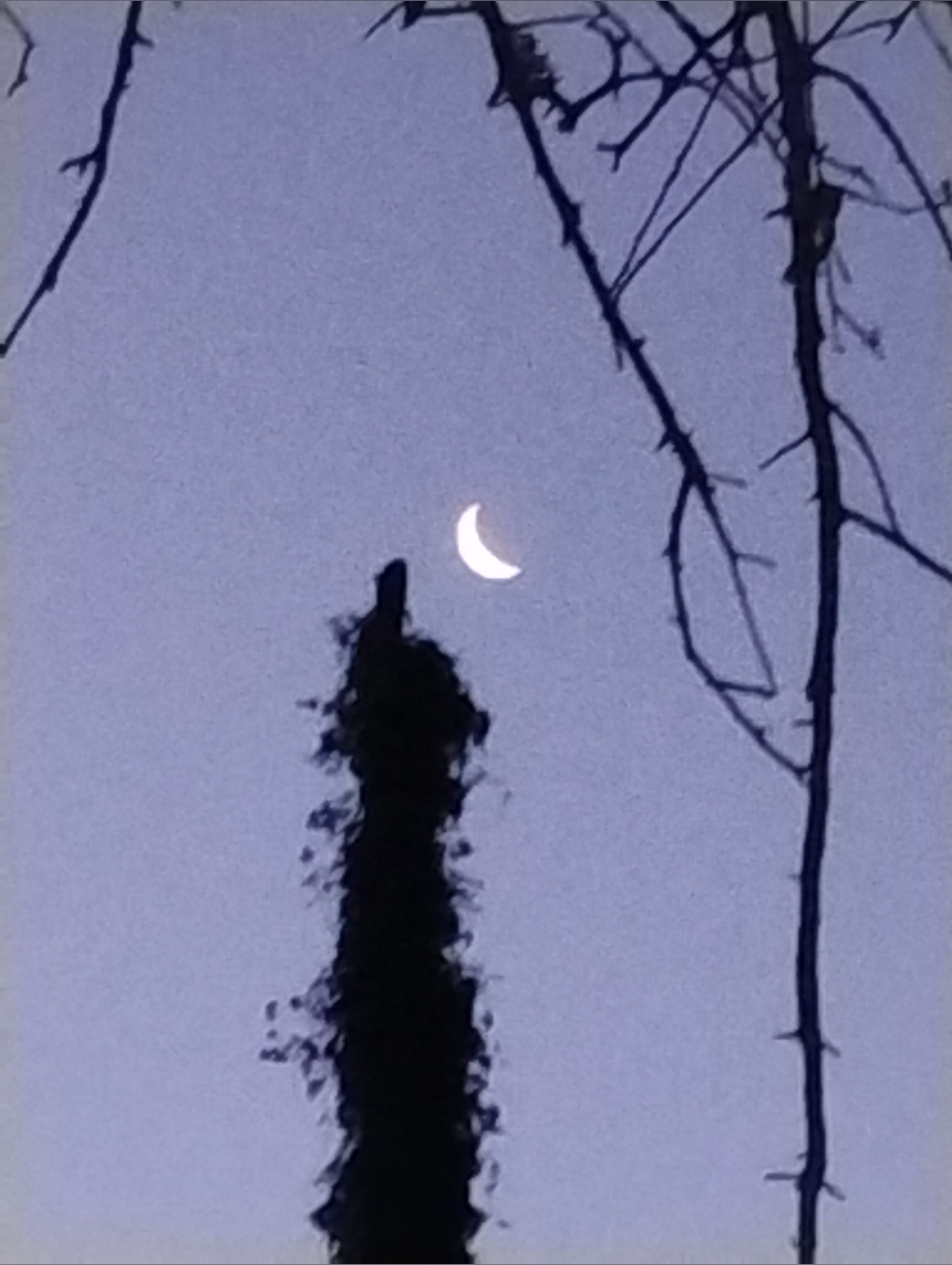 ChubbyToes78 OnlyFans header