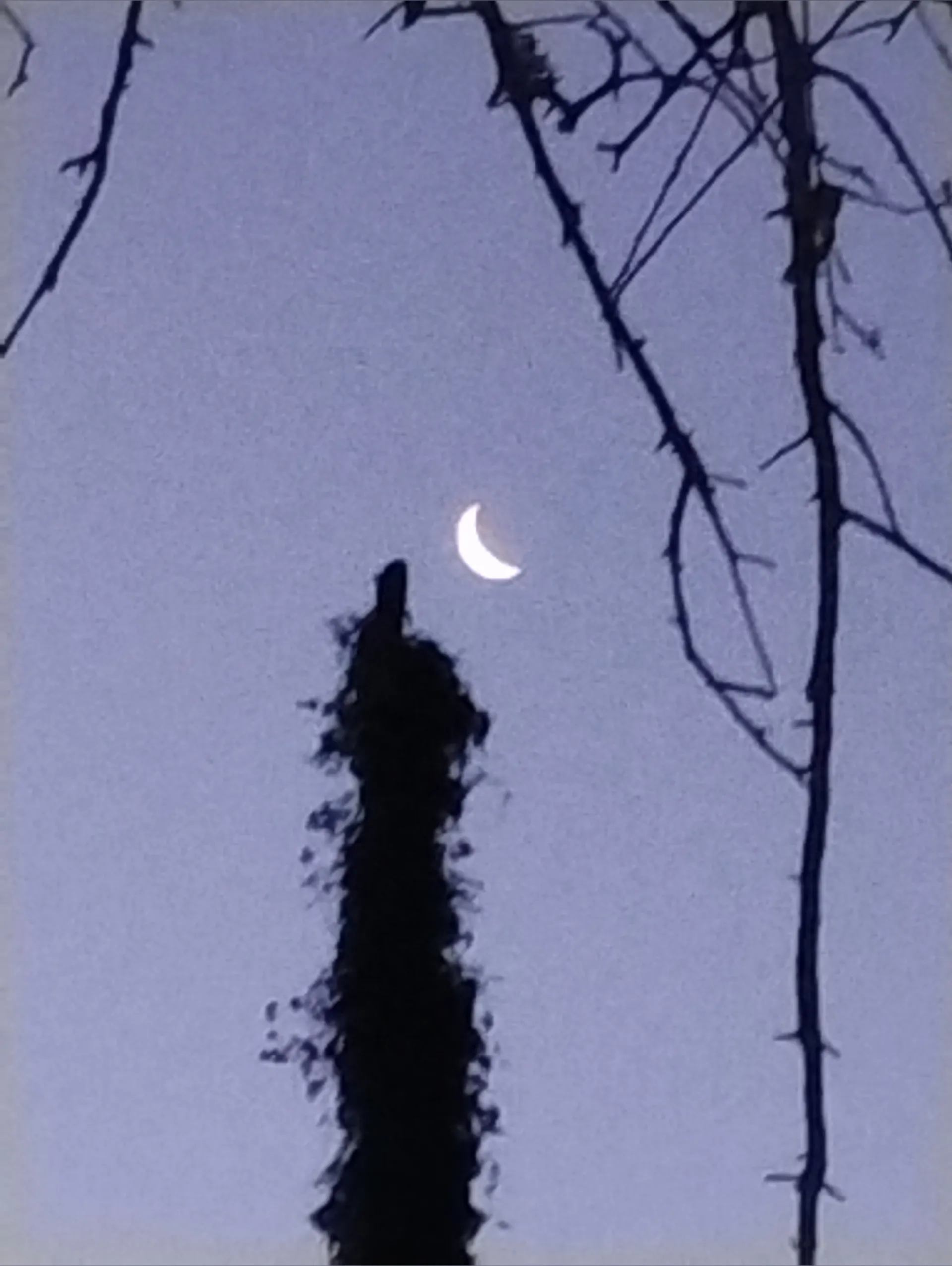 ChubbyToes78 OnlyFans header