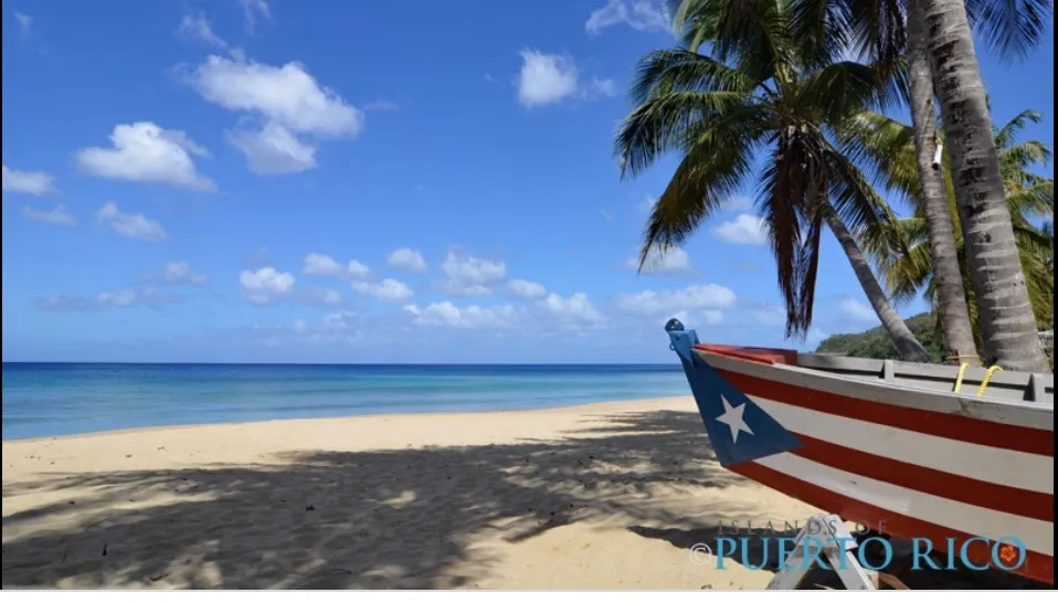 Prissy OnlyFans header