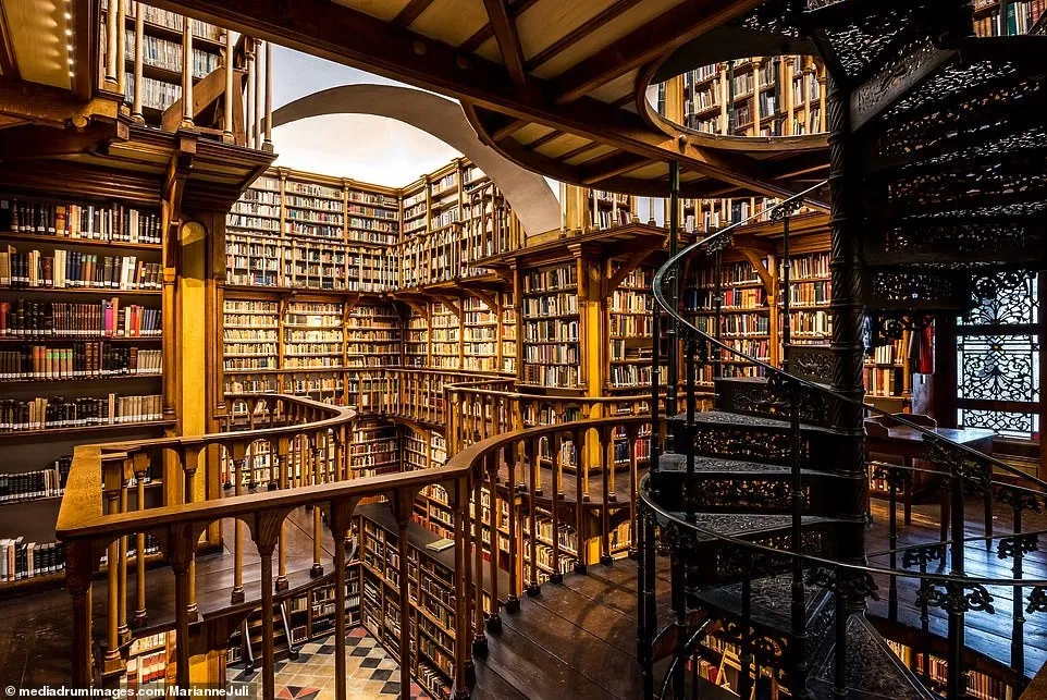 Cole OnlyFans header