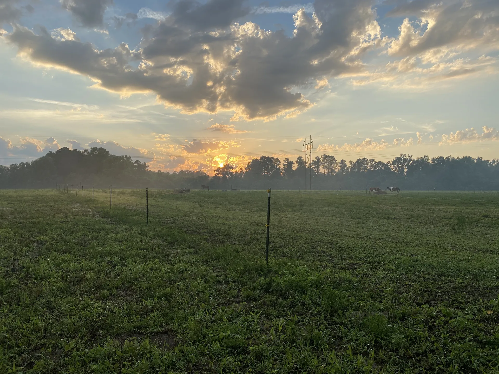 Cowgirl Mel OnlyFans header