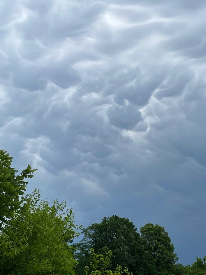 Lynn Marie OnlyFans header